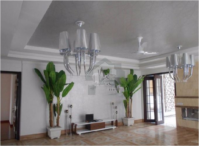 25 Marla Outclass Located Corner Swimming Pool Bungalow For Sale In DHA Phase 6 – Block C