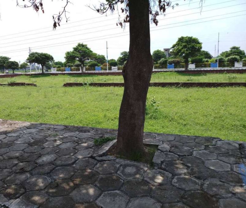 five marla plot for sale